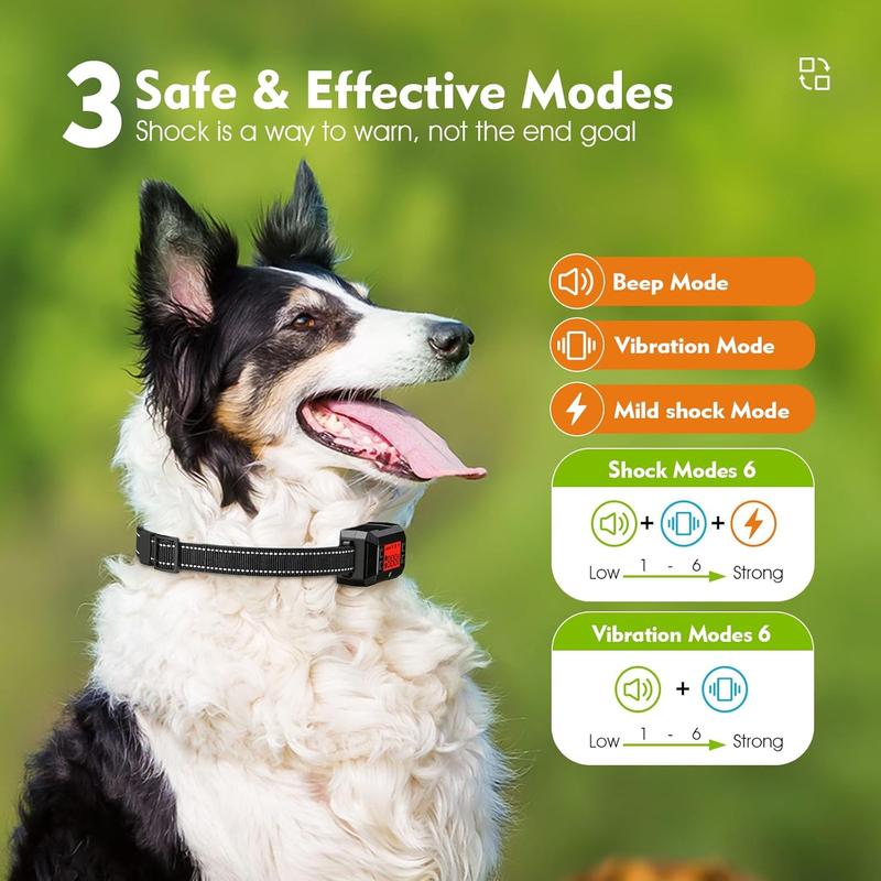 Dog Collar