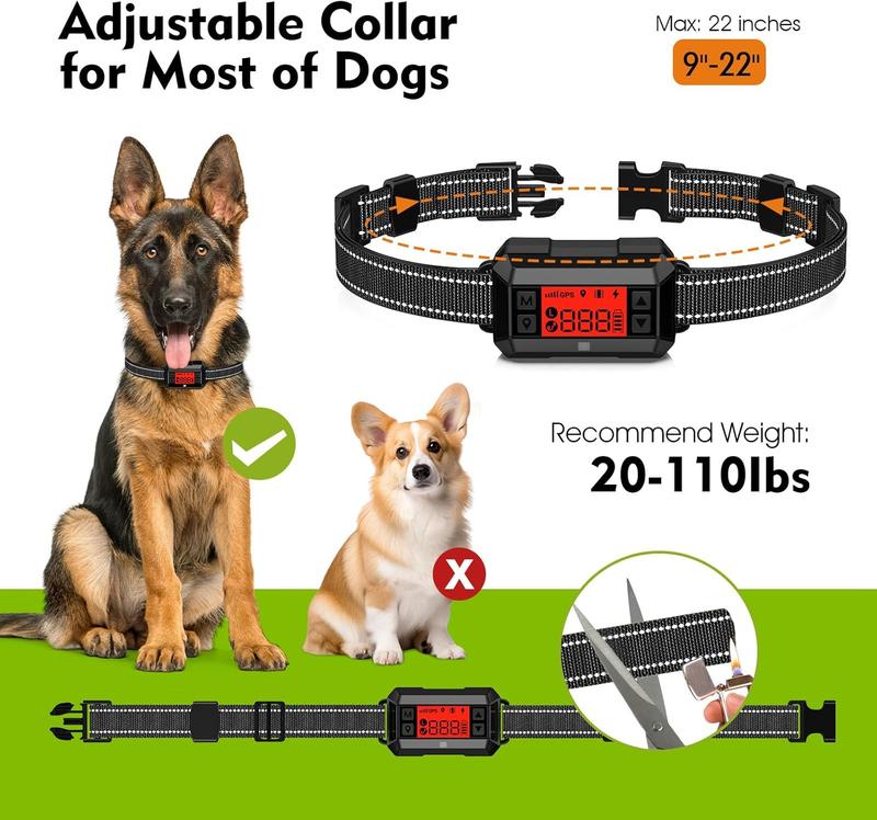 Dog Collar