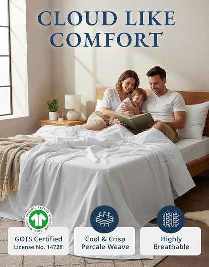 Sheets