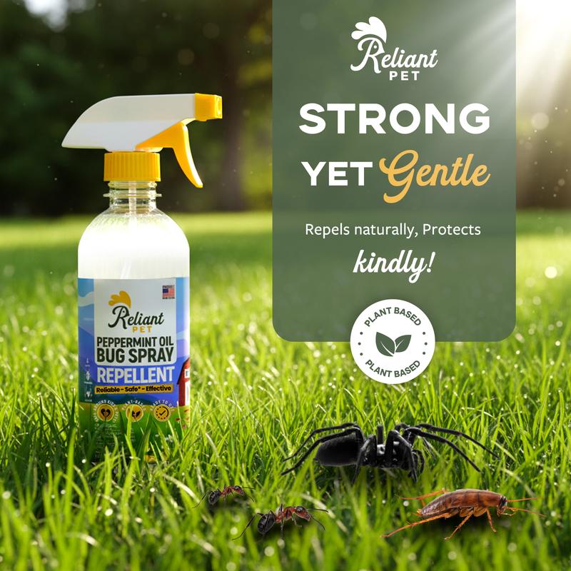 Bug Repellent