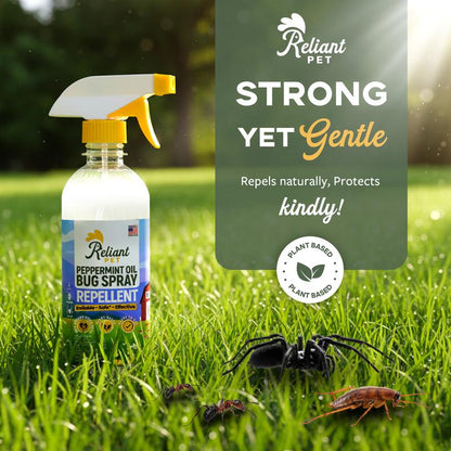 Bug Repellent