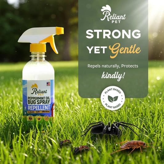 Bug Repellent