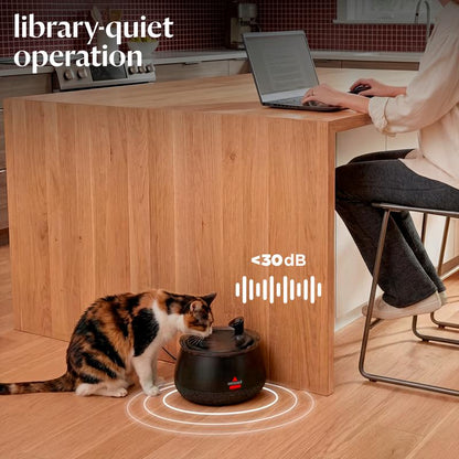 Cat Water Fountain