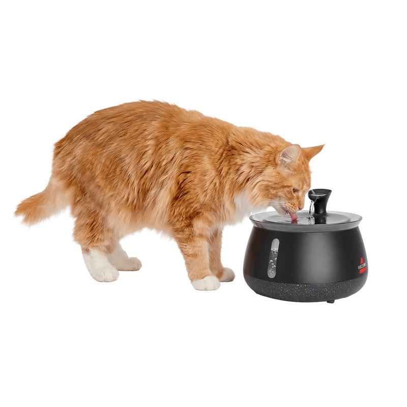 Cat Water Fountain