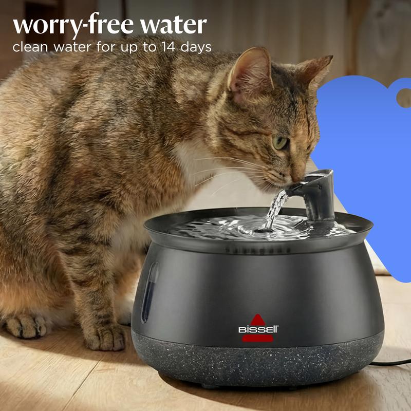 Cat Water Fountain