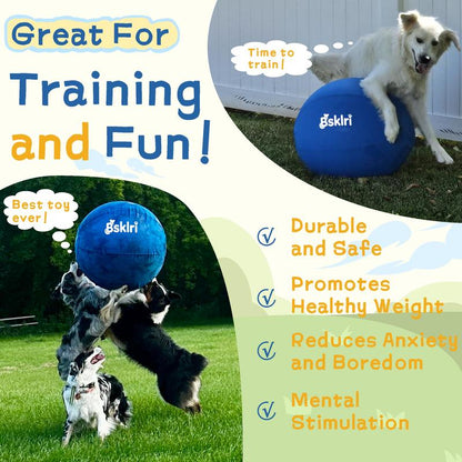 dog herding ball