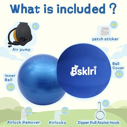 dog herding ball