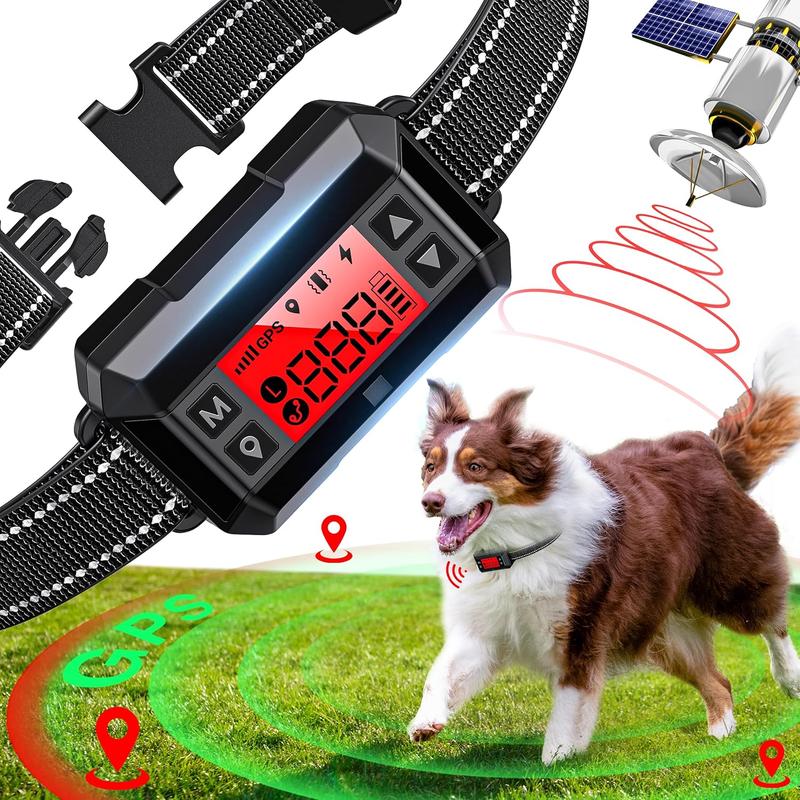 Dog Collar