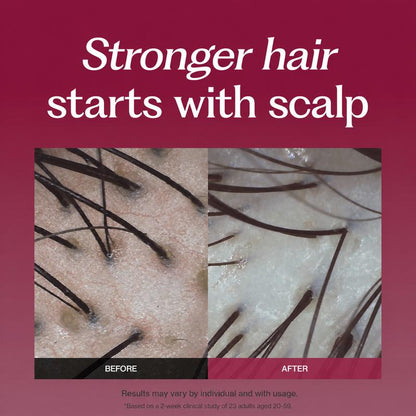 Spider Silk Protein Peptide Duo
